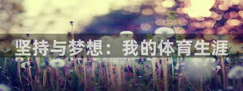 坚持与梦想：我的体育生涯