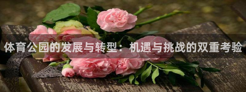 体育公园的发展与转型：机遇与挑战的双重考验