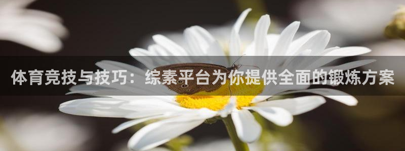 体育竞技与技巧：综素平台为你提供全面的锻炼方案