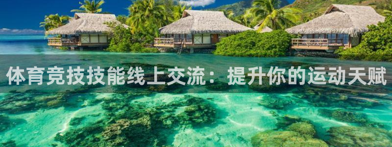 体育竞技技能线上交流：提升你的运动天赋