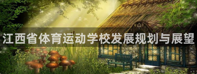 江西省体育运动学校发展规划与展望
