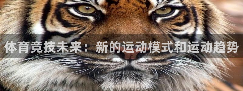 体育竞技未来：新的运动模式和运动趋势