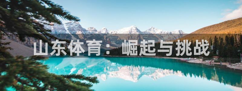 山东体育：崛起与挑战