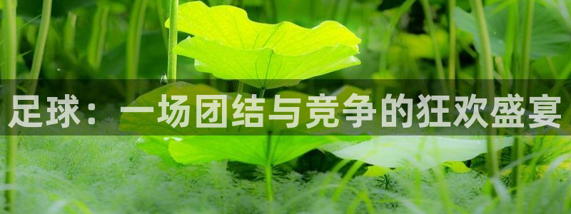 足球：一场团结与竞争的狂欢盛宴