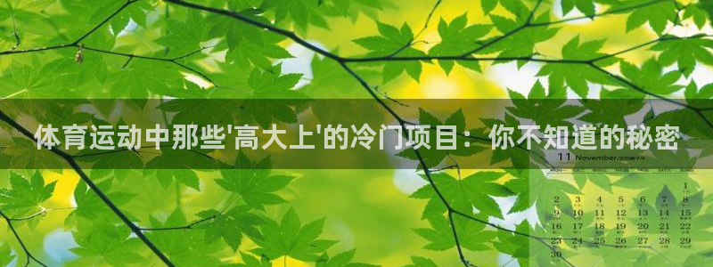 体育运动中那些\'高大上\'的冷门项目：你不知道的秘密