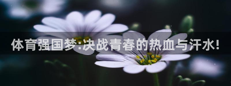 体育强国梦:决战青春的热血与汗水!