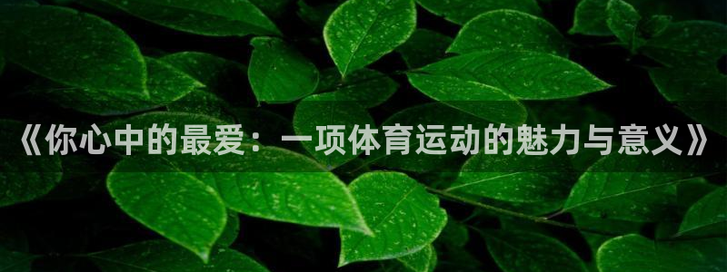 《你心中的最爱：一项体育运动的魅力与意义》