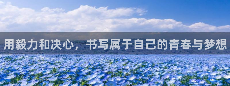用毅力和决心，书写属于自己的青春与梦想
