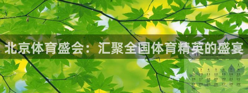 北京体育盛会：汇聚全国体育精英的盛宴