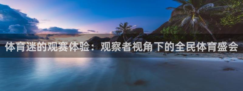 体育迷的观赛体验：观察者视角下的全民体育盛会