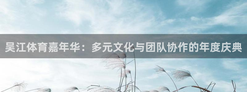吴江体育嘉年华：多元文化与团队协作的年度庆典