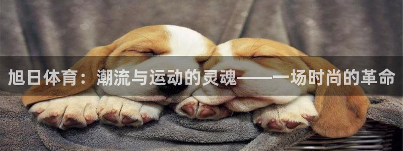 旭日体育：潮流与运动的灵魂——一场时尚的革命
