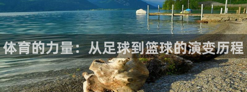 体育的力量：从足球到篮球的演变历程