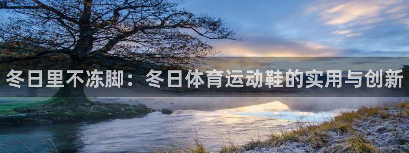 冬日里不冻脚：冬日体育运动鞋的实用与创新