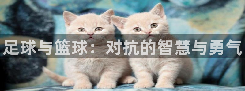 足球与篮球：对抗的智慧与勇气