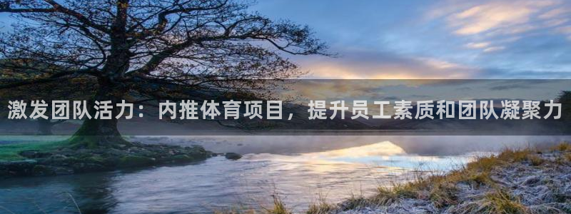 激发团队活力：内推体育项目，提升员工素质和团队凝聚力