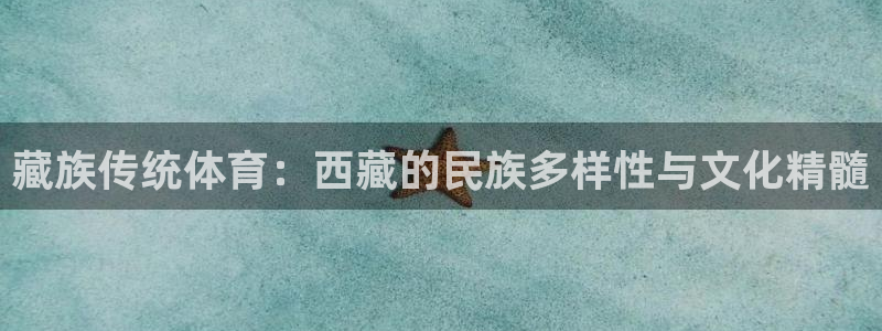 藏族传统体育：西藏的民族多样性与文化精髓