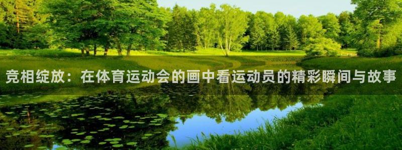 竞相绽放：在体育运动会的画中看运动员的精彩瞬间与故事