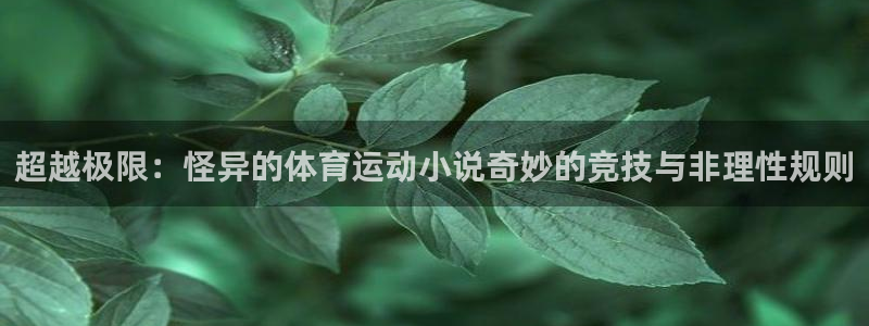 超越极限：怪异的体育运动小说奇妙的竞技与非理性规则