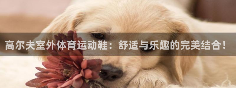 高尔夫室外体育运动鞋：舒适与乐趣的完美结合！
