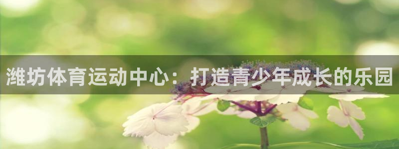 潍坊体育运动中心：打造青少年成长的乐园