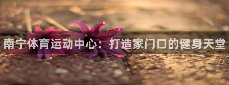 南宁体育运动中心：打造家门口的健身天堂