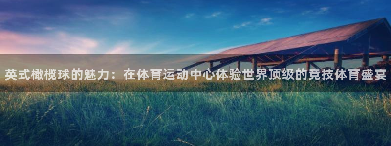 英式橄榄球的魅力：在体育运动中心体验世界顶级的竞技体育盛宴