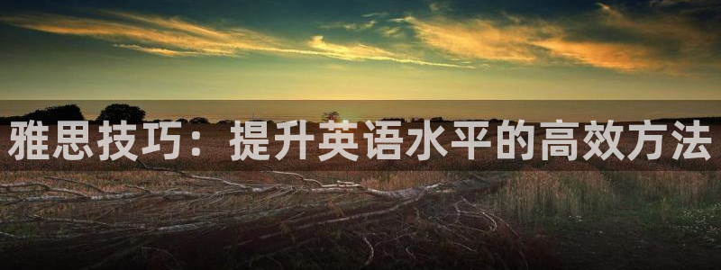 雅思技巧：提升英语水平的高效方法