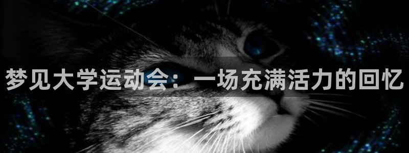 梦见大学运动会：一场充满活力的回忆