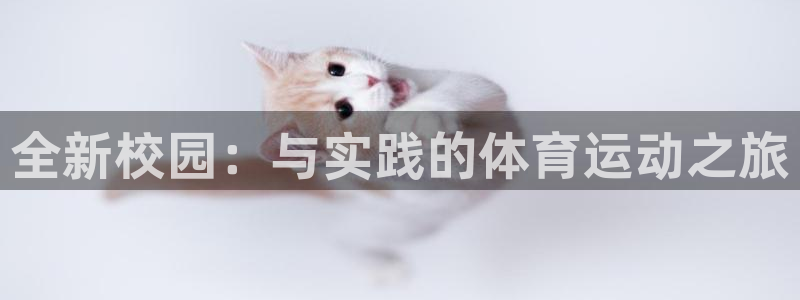 全新校园：与实践的体育运动之旅