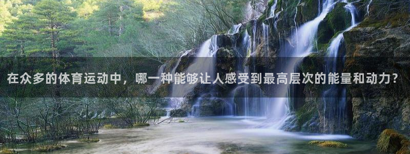 在众多的体育运动中，哪一种能够让人感受到最高层次的能量和动力？